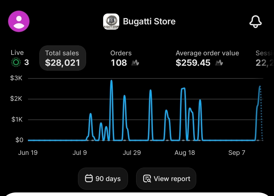 Bugatti Store results in Shopify analytics